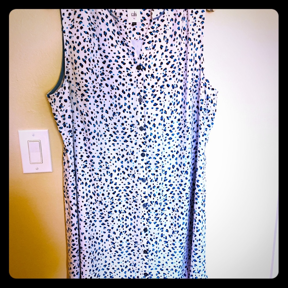 Cabi Dress